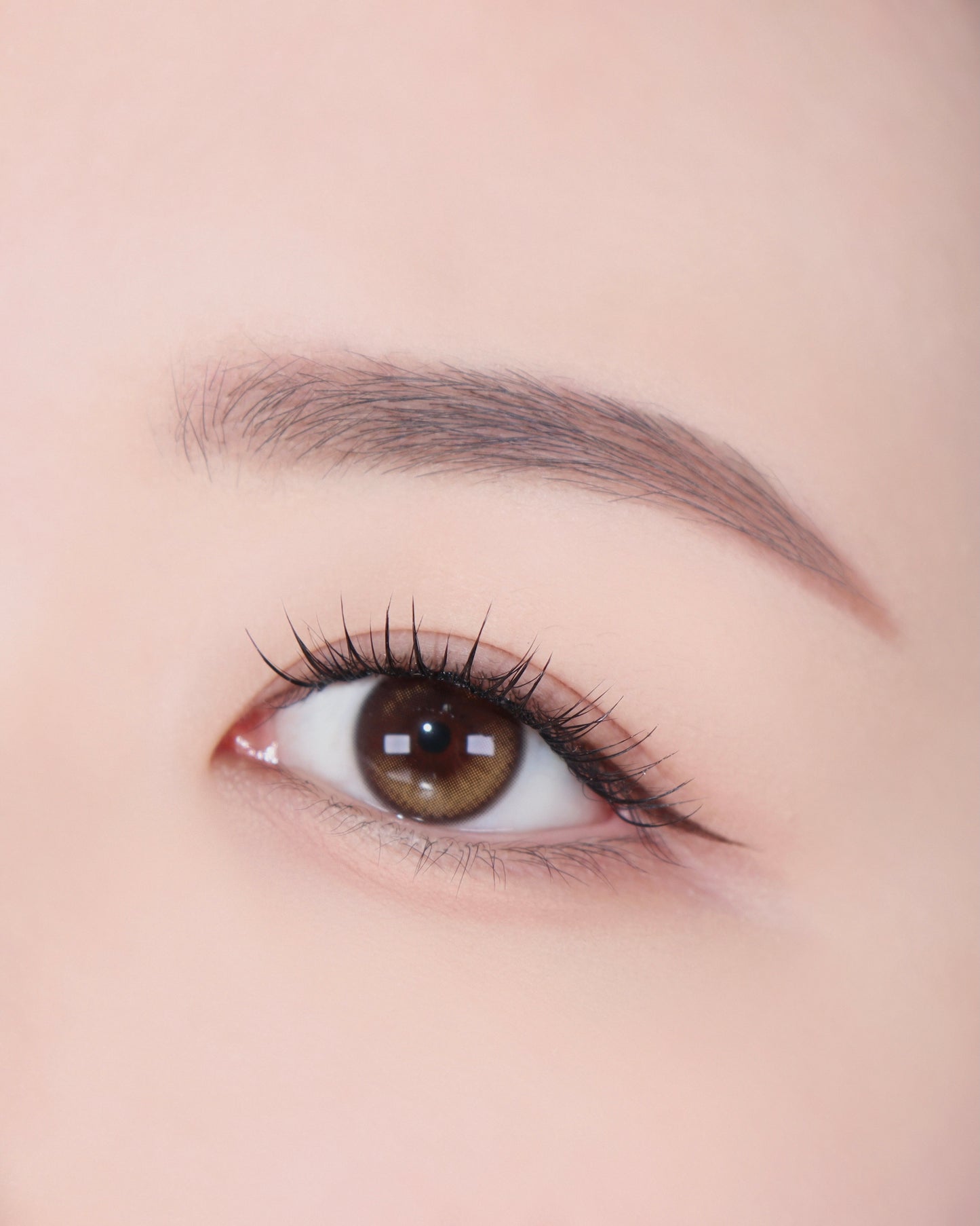 Artist Touch Brow Duo