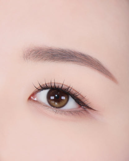 Artist Touch Brow Duo