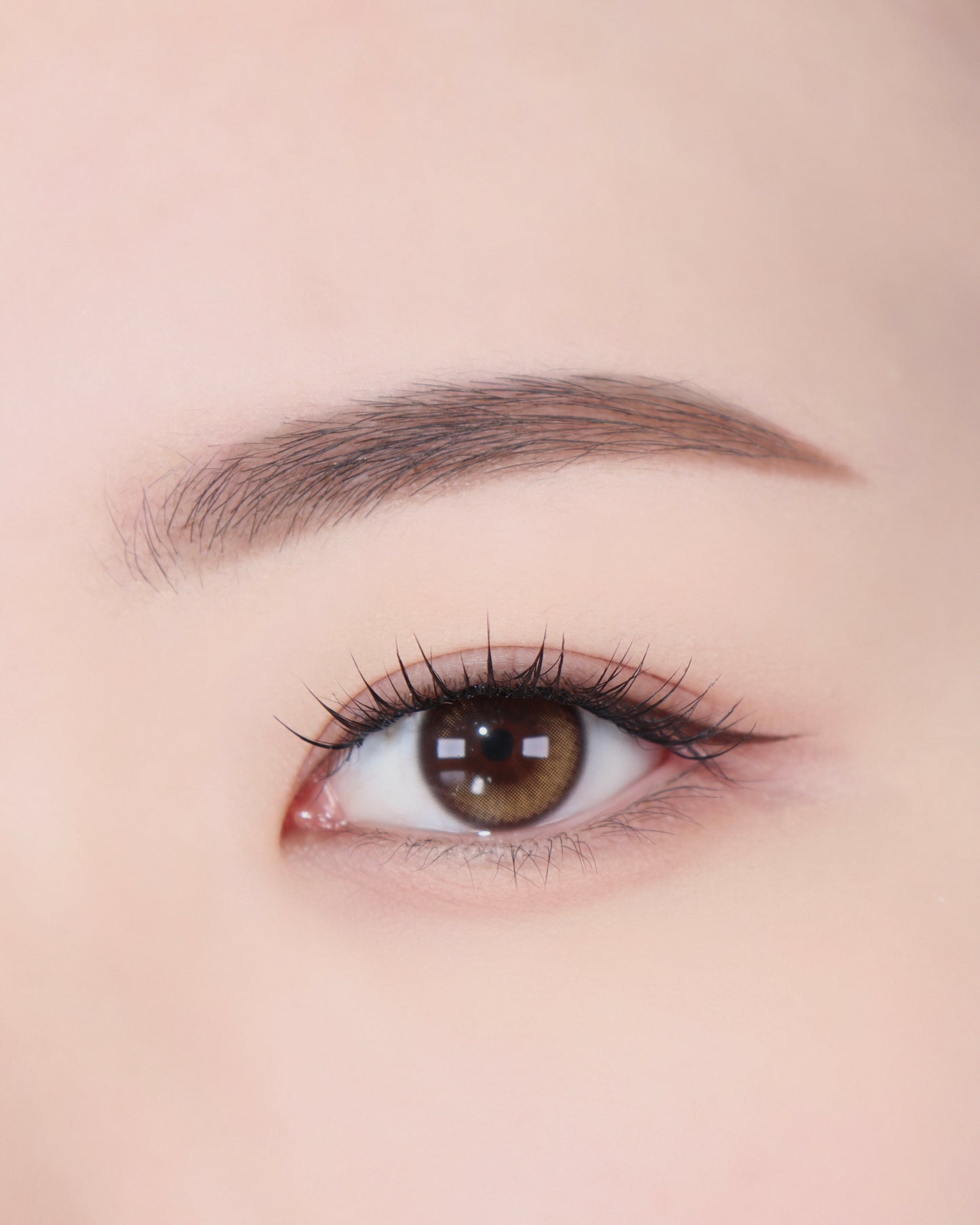 Artist Touch Brow Duo