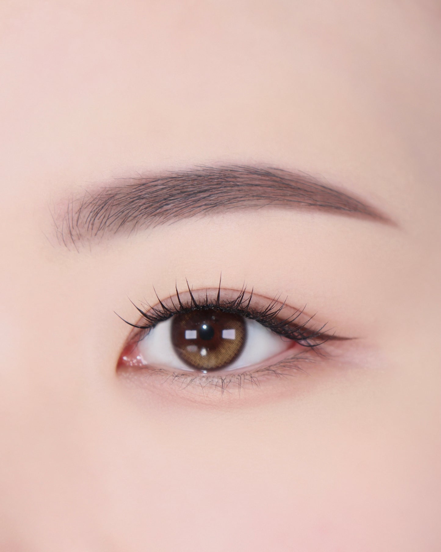 Artist Touch Brow Duo